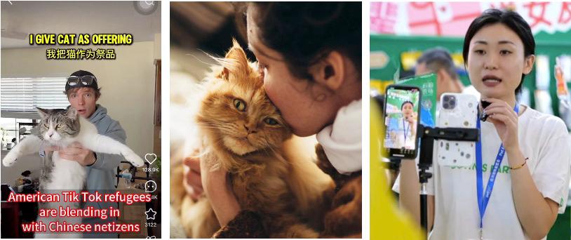 Booming Pet Food Consumption in China: Trends and Opportunities